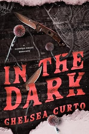 In the Dark by Chelsea Curto