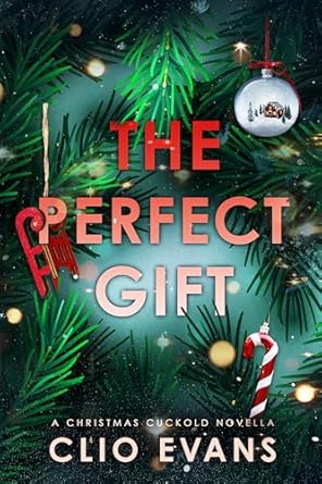 The Perfect Gift by Clio Evans