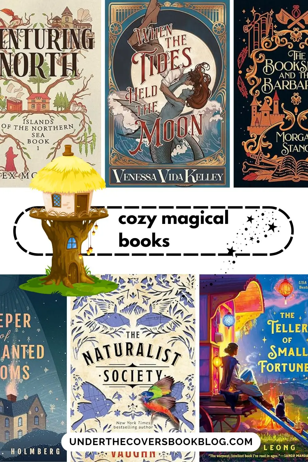 Cozy Magical Books